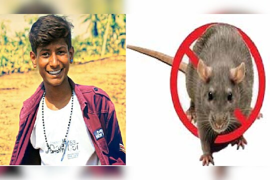 मुंबईकरांनो सावधान, मुंबईत लेप्टोस्पायरोसिसची लागण, दोघांचा मृत्यू