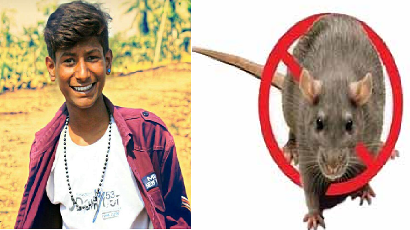 मुंबईकरांनो सावधान, मुंबईत लेप्टोस्पायरोसिसची लागण, दोघांचा मृत्यू