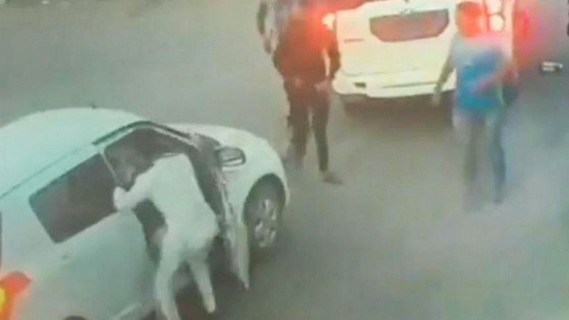 VIDEO:भाजप आमदारपुत्राची कारचालकाला भररस्त्यावर मारहाण