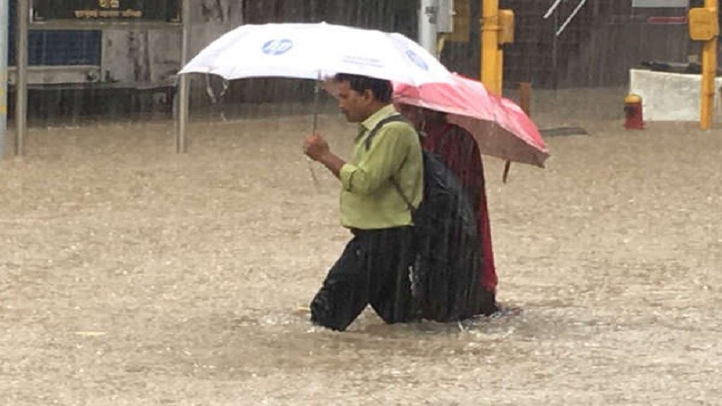 वसई-विरार भागाला विजपुरवठा करणाऱ्या 'महापारेषण वसई अति उच्च दाब केंद्रा'च्या नियंत्रण कक्षामध्ये शिरलं पाणी वसई-विरार भागाला विजपुरवठा करणाऱ्या 'महापारेषण वसई अति उच्च दाब केंद्रा'च्या नियंत्रण कक्षामध्ये शिरलं पाणी