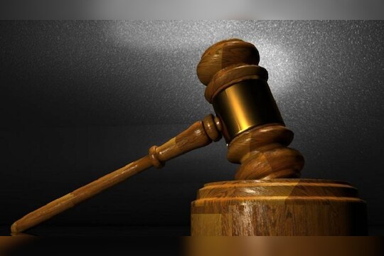 वृक्षतोड करण्याचा अधिकार तुम्हाला दिला कोणी?  हायकोर्टाने वीज कंपन्या फटकारले