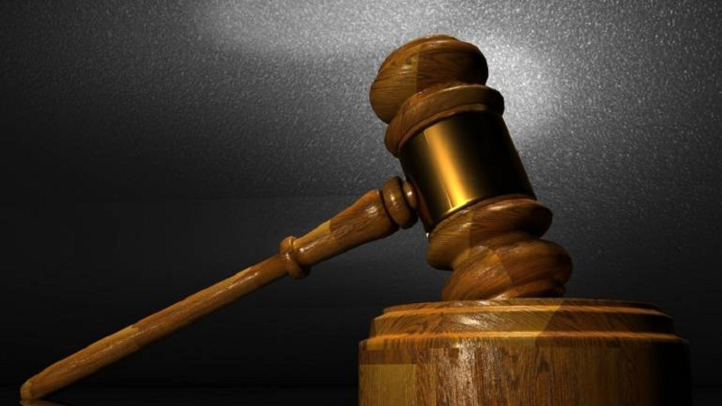 वृक्षतोड करण्याचा अधिकार तुम्हाला दिला कोणी? हायकोर्टाने वीज कंपन्या फटकारले