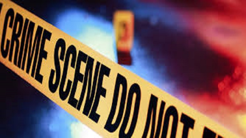 अवघ्या 11 दिवसांत कोर्टाने दिली 75 वर्षीय पतीला जन्मठेपेची शिक्षा