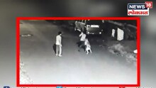 पिसाळलेल्या कुत्र्याचा हल्ला सीसीटीव्हीत