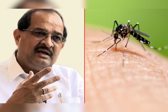 नागपूर अधिवेशनाच्या काळात विखे पाटलांना डेंग्यूची लागण