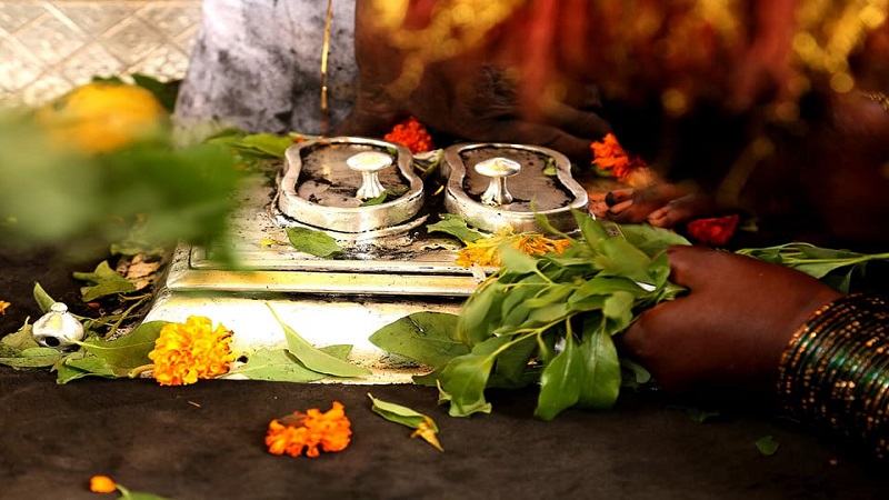 BLOG : आषाढी वारी म्हणजे जन्माची शिदोरी!