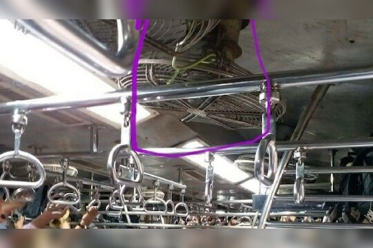 लोकलमध्ये 'बच के रहेना रे बाबा', धावत्या ट्रेनमध्ये साप आढळल्याचा VIDEO व्हायरल