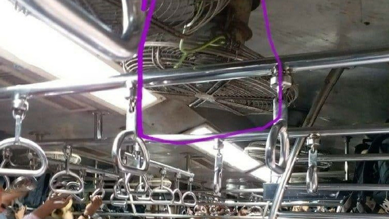 लोकलमध्ये 'बच के रहेना रे बाबा', धावत्या ट्रेनमध्ये साप आढळल्याचा VIDEO व्हायरल