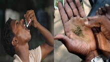 नागपुरात खर्रा खाऊन थुंकणाऱ्यांनो सावधान, गुन्हा होईल दाखल