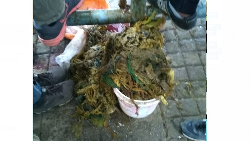 रामेश्वर वाघमारे यांची गाय अनेक दिवसांपासून काहीच खात नव्हती, त्यामुळे त्यांनी आज या गायीला शहरातील पशुवैद्यकीय आणि पशुविज्ञान महाविद्यालयांतील दवाखान्यात दाखवले. रामेश्वर वाघमारे यांची गाय अनेक दिवसांपासून काहीच खात नव्हती, त्यामुळे त्यांनी आज या गायीला शहरातील पशुवैद्यकीय आणि पशुविज्ञान महाविद्यालयांतील दवाखान्यात दाखवले.
