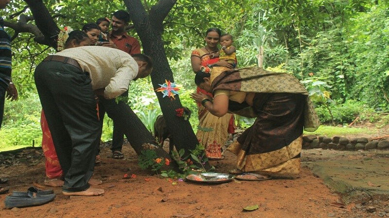 वृक्षप्रेमी भगिनींनी आपल्याला प्राणवायू आणि फळ-फूलं देणाऱ्या झाडांना कृतज्ञतापूर्वक राख्या बांधून त्यांचे आभार मानलेत. वृक्षप्रेमी भगिनींनी आपल्याला प्राणवायू आणि फळ-फूलं देणाऱ्या झाडांना कृतज्ञतापूर्वक राख्या बांधून त्यांचे आभार मानलेत.