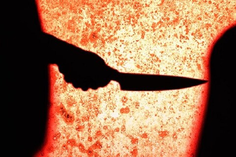 जावई अनिल पाटील यानं आपल्या पत्नीसह सासू - सासऱ्यावर हल्ला केला. या हल्ल्यात सासरे धोंडीराम रावण जागीच ठार झाले. तर सासू राधा रावण, पत्नी रूपाली पाटील गंभीर जखमी झालेत. 
