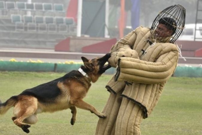जर तुम्हाला कॅन्सरची चाचणी करायची असेल तर त्यासाठी अनेक चाचण्या कराव्या लागतात. मग कुठं तुम्हाला त्याचा निकाल मिळतो. पण या स्निफर डॉगमुळे कॅन्सरची चाचणी सोपी होऊ शकते. जर तुम्हाला कॅन्सरची चाचणी करायची असेल तर त्यासाठी अनेक चाचण्या कराव्या लागतात. मग कुठं तुम्हाला त्याचा निकाल मिळतो. पण या स्निफर डॉगमुळे कॅन्सरची चाचणी सोपी होऊ शकते.