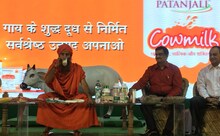 पतंजलीचे आता गायीचे दूध आणि पनीर, ही आहेत नवी उत्पादनं