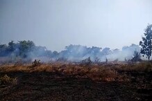 दाभोळ शिवारात वणवा; शेकडो एकरातील पिके जळून खाक!