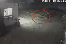 CCTV VIDEO : बिबट्या थेट कंपनीतच घुसला, मुंबईजवळच्या MIDC तील घटना