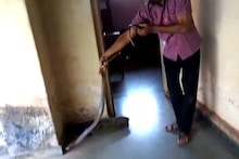 VIDEO : आॅर्डर...आॅर्डर..कोर्टात आले नागोबा!