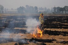 धक्कादायक, मराठवाड्यात 11 महिन्यांत 781 शेतकऱ्यांच्या आत्महत्या