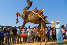 PHOTOS : राजस्थानमधल्या पुष्करच्या मेळ्याचे हे फोटो पाहुन तुम्ही थक्क व्हाल! PHOTOS : राजस्थानमधल्या पुष्करच्या मेळ्याचे हे फोटो पाहुन तुम्ही थक्क व्हाल!