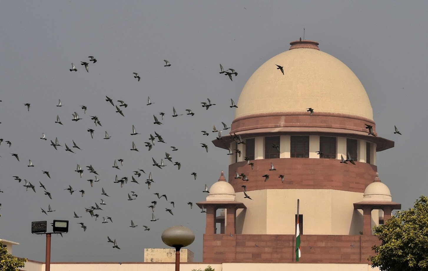 कार्यशाळेच्या प्रभाऱ्यांनी सांगितलं की, 50 टक्क्यांहून अधिक दगडी नक्षीकाम पूर्ण झालं आहे. याचा अर्थ पहिला मजला पूर्ण आहे. आम्ही आशा करतो की अयोध्येच्या जमीन मालकीबद्दल सुप्रीम कोर्टकडून निर्णय आल्यावर आम्ही पायात दगड घालण्याचे काम सुरू करू. कार्यशाळेच्या प्रभाऱ्यांनी सांगितलं की, 50 टक्क्यांहून अधिक दगडी नक्षीकाम पूर्ण झालं आहे. याचा अर्थ पहिला मजला पूर्ण आहे. आम्ही आशा करतो की अयोध्येच्या जमीन मालकीबद्दल सुप्रीम कोर्टकडून निर्णय आल्यावर आम्ही पायात दगड घालण्याचे काम सुरू करू.