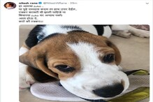 राणे Vs कदम वाद चिघळला, नितेश राणेंचं आणखी एक जहरी ट्वीट राणे Vs कदम वाद चिघळला, नितेश राणेंचं आणखी एक जहरी ट्वीट