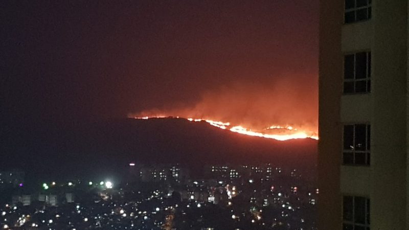 मुंबई,03 डिसेंबर : गोरेगावमधील आरे काॅलनी जंगलात भीषण आग लागली होती. मोठा प्रमाणात ही आग जंगलात पसरली होती. चार तासांच्या अथक प्रयत्नानंतर आग आटोक्यात आणली आहे. मुंबई,03 डिसेंबर : गोरेगावमधील आरे काॅलनी जंगलात भीषण आग लागली होती. मोठा प्रमाणात ही आग जंगलात पसरली होती. चार तासांच्या अथक प्रयत्नानंतर आग आटोक्यात आणली आहे.