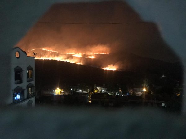 संध्याकाळी 6.30 च्या सुमारास आरे काॅलनी जंगलात आग लागल्यामुळे वणवा पेटला होता. अरुणकुमार विद्या मार्गावर गोकुळधामजवळील जंगलात ही आग लागली होती. संध्याकाळी 6.30 च्या सुमारास आरे काॅलनी जंगलात आग लागल्यामुळे वणवा पेटला होता. अरुणकुमार विद्या मार्गावर गोकुळधामजवळील जंगलात ही आग लागली होती.