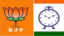 राष्ट्रवादीनंतर भाजपच्याही उमेदवाराने काढली विजयी मिरवणूक, निकालाआधीच फटाके