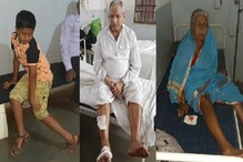 पिसाळलेल्या कुत्र्याचा धुमाकूळ; 35 जणांचे तोडले लचके पिसाळलेल्या कुत्र्याचा धुमाकूळ; 35 जणांचे तोडले लचके