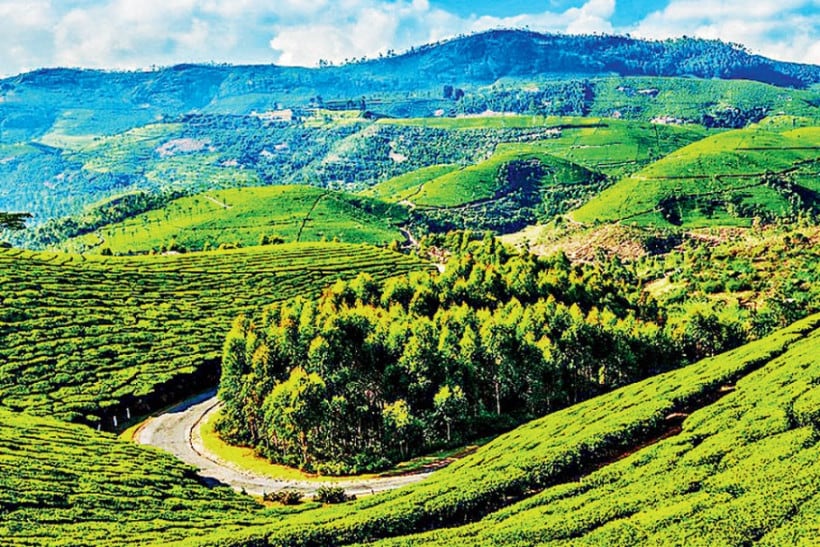 वर्षाच्या १२ महिने तिकडे थंडीच असते. हे दक्षिणेतलं एकमेव हिल स्टेशन आहे. तसंच भारतातल्या सर्वात्तम हनिमून डेस्टिनेशनपैकी एक आहे म्हणजे उटी. वर्षाच्या १२ महिने तिकडे थंडीच असते. हे दक्षिणेतलं एकमेव हिल स्टेशन आहे. तसंच भारतातल्या सर्वात्तम हनिमून डेस्टिनेशनपैकी एक आहे म्हणजे उटी.