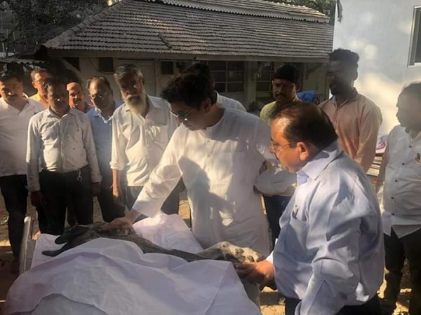 परळच्या प्राणी रुग्णालयातील स्मशानभूमीत बॉण्डवर अंत्यसंस्कार करण्यात आले, यावेळी राज ठाकरे स्वत: हजर होते. राज यांनी आपल्या लाडक्या बॉण्डला अखेरचं कुरवाळत अंत्यसंस्कार केले. यावेळी राज ठाकरे भावूक झाले होते. परळच्या प्राणी रुग्णालयातील स्मशानभूमीत बॉण्डवर अंत्यसंस्कार करण्यात आले, यावेळी राज ठाकरे स्वत: हजर होते. राज यांनी आपल्या लाडक्या बॉण्डला अखेरचं कुरवाळत अंत्यसंस्कार केले. यावेळी राज ठाकरे भावूक झाले होते.