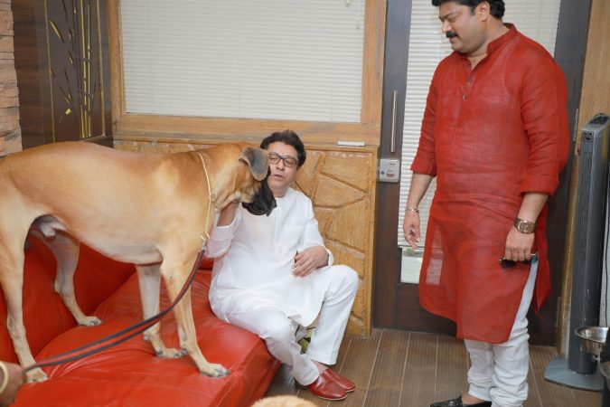 मात्र 2015 मध्ये बॉण्डने राज ठाकरेंच्या पत्नी शर्मिला यांच्या चेहऱ्याला चावल्यानं खळबळ उडाली होती. यानंतर बॉण्ड, जेम्स आणि शॉन या तिन्ही ग्रेट-डेन श्वानांची रवानगी कर्जतच्या फार्म हाऊसवर करण्यात आली होती. मात्र 2015 मध्ये बॉण्डने राज ठाकरेंच्या पत्नी शर्मिला यांच्या चेहऱ्याला चावल्यानं खळबळ उडाली होती. यानंतर बॉण्ड, जेम्स आणि शॉन या तिन्ही ग्रेट-डेन श्वानांची रवानगी कर्जतच्या फार्म हाऊसवर करण्यात आली होती.