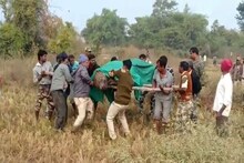VIDEO : तीन वर्षांचा तरणाबांड होता तो; कुंपणाच्या विजप्रवाहाला स्पर्श झाला आणि...