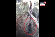 VIDEO: 8 वर्षांचा चिमुकला खेळताना विहिरी पडला, थरारक रेस्क्यू ऑपरेशन कॅमेरात कैद VIDEO: 8 वर्षांचा चिमुकला खेळताना विहिरी पडला, थरारक रेस्क्यू ऑपरेशन कॅमेरात कैद