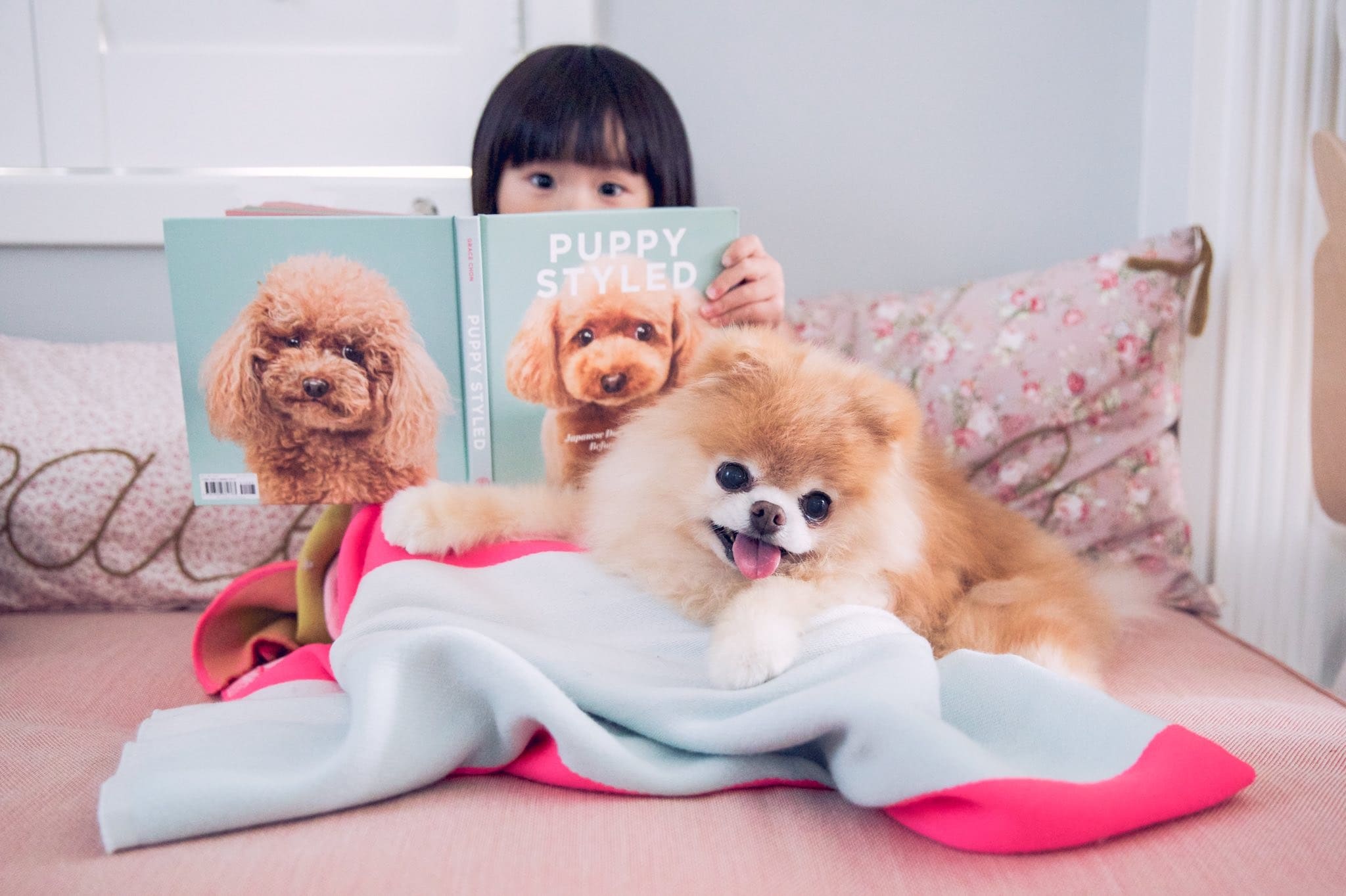 Boo हा एक सेलिब्रेटीच झाला होता. इतंच काय Boo: The Life of the Worlds Cutest Dog आणि Boo: Little Dog in the Big City अशी दोन पुस्तकेही त्याच्यावर प्रकाशित झाली आहेत. Boo हा एक सेलिब्रेटीच झाला होता. इतंच काय Boo: The Life of the Worlds Cutest Dog आणि Boo: Little Dog in the Big City अशी दोन पुस्तकेही त्याच्यावर प्रकाशित झाली आहेत.