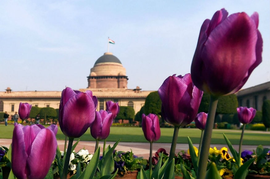 दरवर्षी राष्ट्रपती भवनातल्या मुघल गार्डनबद्दल सगळ्यांना उत्सुकता असते. हे गार्डन कधी उघडतंय, याची सगळे वाट पहात असतात. यावेळी 5 फेब्रुवारीला मुघल गार्डन जनतेसाठी उघडलं जातंय. महिनाभर हे सगळ्यांसाठी खुलं असेल. दरवर्षी राष्ट्रपती भवनातल्या मुघल गार्डनबद्दल सगळ्यांना उत्सुकता असते. हे गार्डन कधी उघडतंय, याची सगळे वाट पहात असतात. यावेळी 5 फेब्रुवारीला मुघल गार्डन जनतेसाठी उघडलं जातंय. महिनाभर हे सगळ्यांसाठी खुलं असेल.
