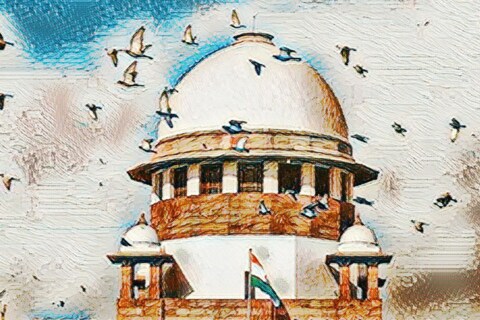 'युथ फॉर इक्वेलिटी' या संस्थेच्या वतीने ही याचिका दाखल करण्यात आली होती.