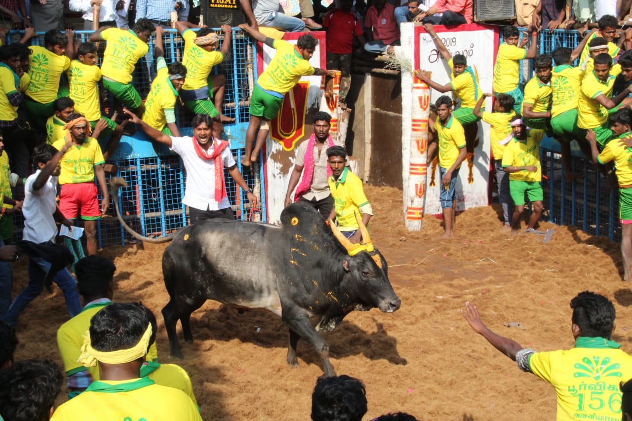 या खेळात जिंकणाऱ्याला आणि ज्या वळूवर ताबा मिळवता आला नाही त्यांच्या मालकाला रोख रकमेचा पुरस्कार दिले जातात. तसेच वस्तू, टू-व्हिलर बक्षिस म्हणून दिलं जातं. या खेळात जिंकणाऱ्याला आणि ज्या वळूवर ताबा मिळवता आला नाही त्यांच्या मालकाला रोख रकमेचा पुरस्कार दिले जातात. तसेच वस्तू, टू-व्हिलर बक्षिस म्हणून दिलं जातं.
