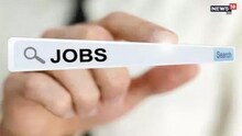 Job Alert : सरकारी नोकऱ्या झाल्या कमी; पण 'या' सेक्टरमध्ये झाली आहे वाढ