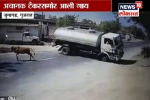 VIDEO : गायीला वाचवणाऱ्या टँकरचा थरारक व्हिडिओ व्हायरल VIDEO : गायीला वाचवणाऱ्या टँकरचा थरारक व्हिडिओ व्हायरल