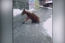 बर्फावरून पाय घसरल्यावर काय होतं, पाहा...VIDEO