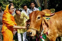 शिवराजसिंह चौहानांच्या पत्नीही करणार राजकारणात एंट्री!