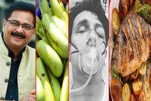 आधी दुधी भोपळा आता मासे, सेलिब्रिटींचा जीव का पडला धोक्यात?