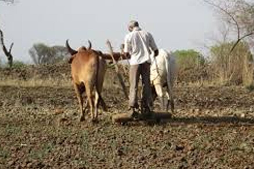 बिहारमध्ये फक्त 72 हजार शेतकऱ्यांना PM KISAN योजनेचा लाभ झाला. केंद्रीय कृषी मंत्री राधामोहन सिंह हे बिहारचे आहेत. केंद्रीय कृषी राज्य मंत्री गजेंद्र सिंह शेखावत यांच्या राजस्थानमध्ये एकाही शेतकऱ्याला या योजनेचा लाभ मिळाला नाही. बिहारमध्ये फक्त 72 हजार शेतकऱ्यांना PM KISAN योजनेचा लाभ झाला. केंद्रीय कृषी मंत्री राधामोहन सिंह हे बिहारचे आहेत. केंद्रीय कृषी राज्य मंत्री गजेंद्र सिंह शेखावत यांच्या राजस्थानमध्ये एकाही शेतकऱ्याला या योजनेचा लाभ मिळाला नाही.