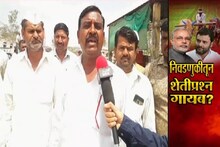 SPECIAL REPORT: नेते राजकारणात मश्गुल; निवडणुका जात आहेत शेतकऱ्यांच्या प्रश्नांपासून दूर