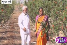VIDEO: गावात दुष्काळ असतानाही नंदनवन फुलवलं 'या' शेतकरी महिलेनं