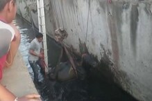 VIDEO :15 फूट खोल नाल्यात पडली गाय, असं केलं रेस्क्यू आॅपरेशन VIDEO :15 फूट खोल नाल्यात पडली गाय, असं केलं रेस्क्यू आॅपरेशन