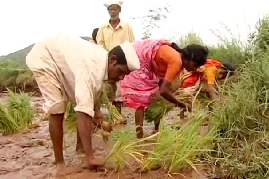 बजेटमध्ये शेतकऱ्यांना मिळू शकते जास्त मदत, SBIनं दिला रिपोर्ट