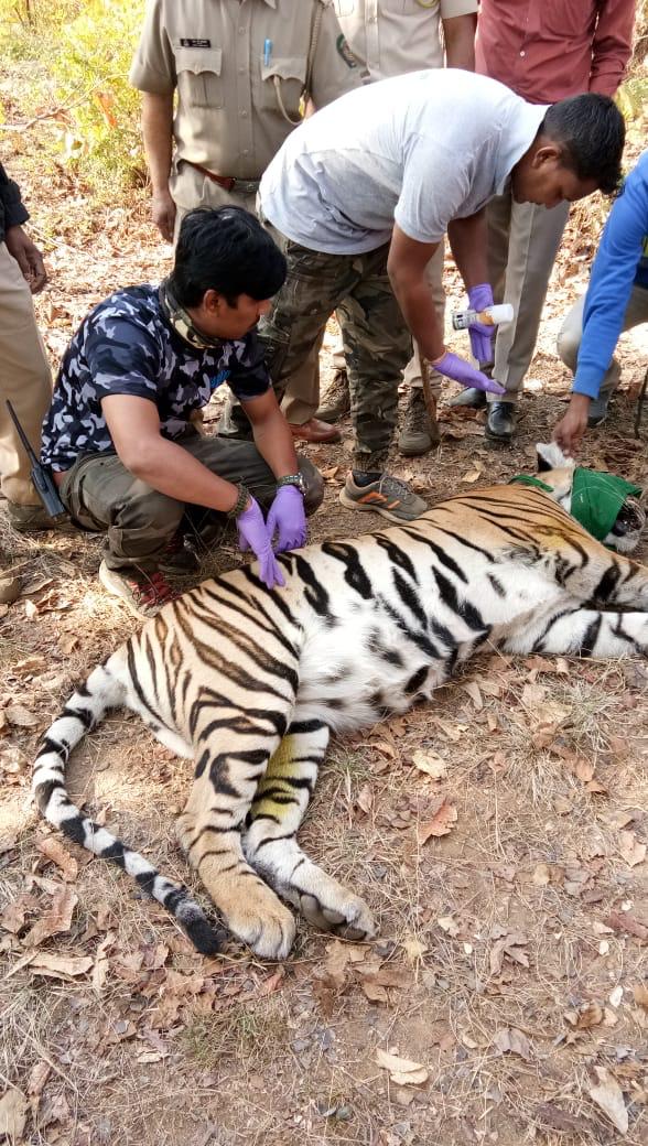 या मोहिमेमुळे सदर परिसरात घटना घडल्यास त्या घटनेबाबत ठोस पुरावे मिळविण्यासाठी भविष्यात त्याचा उपयोग होईल. या मोहिमेमुळे सदर परिसरात घटना घडल्यास त्या घटनेबाबत ठोस पुरावे मिळविण्यासाठी भविष्यात त्याचा उपयोग होईल.