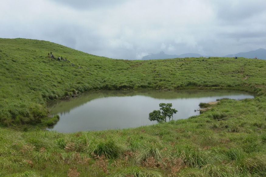 केरळमधील सर्वात सुंदर ठिकाणांमध्ये वायनाडचा समावेश होतो. केवळ देशभरातील नव्हे परदेशातील पर्यटकांसाठीचे हे आवडते ठिकाण आहे. हनीमून डेस्टिनेशन म्हणून देखील वायनाड प्रसिद्ध आहे. केरळला भेट देणाऱ्या पहिल्या 5 ठिकाणांमध्ये वायनाडचा समावेश होतो. केरळमधील सर्वात सुंदर ठिकाणांमध्ये वायनाडचा समावेश होतो. केवळ देशभरातील नव्हे परदेशातील पर्यटकांसाठीचे हे आवडते ठिकाण आहे. हनीमून डेस्टिनेशन म्हणून देखील वायनाड प्रसिद्ध आहे. केरळला भेट देणाऱ्या पहिल्या 5 ठिकाणांमध्ये वायनाडचा समावेश होतो.